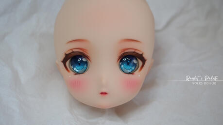 VOLKS DCH-20